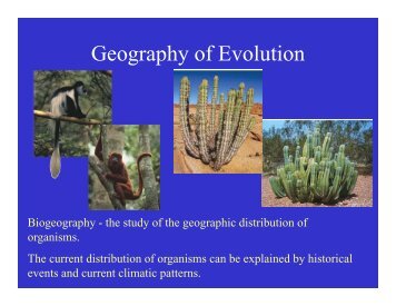 Geography of Evolution.pdf