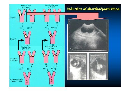 Reproduction