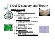 7.1 Cell Discovery and Theory