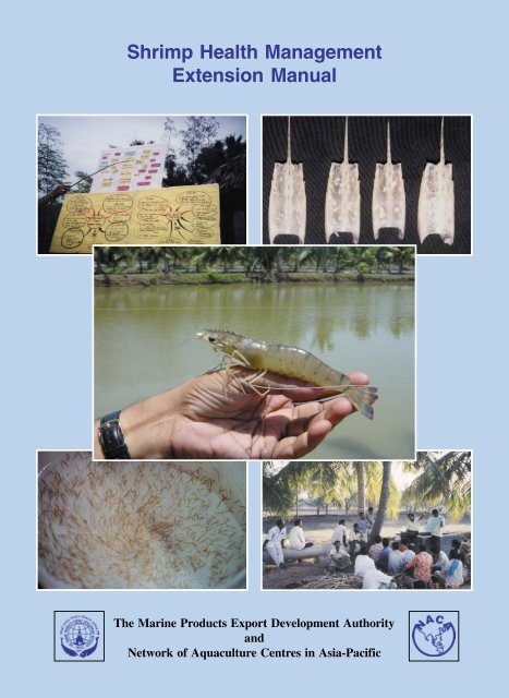 Shrimp Health Management Extension Manual - Library - Network of ...