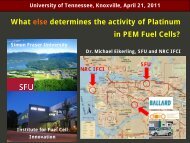 What else determines the activity of Platinum in PEM Fuel Cells?