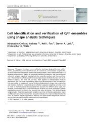 Cell identification and verification of QPF ensembles using shape ...