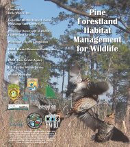 Pine Forestland Habitat Management for Wildlife - Forest and ...