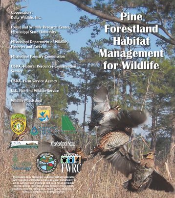 Pine Forestland Habitat Management for Wildlife - Forest and ...