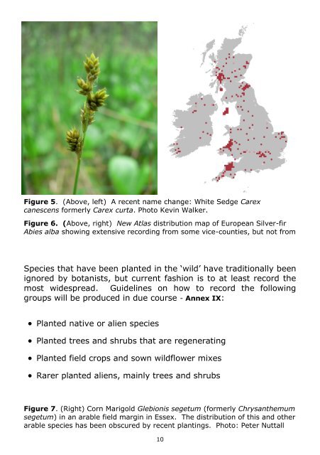 Recording the British and Irish flora 2010-2020 - Botanical Society of ...