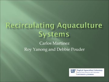 1.) Recirculating Aquaculture Systems
