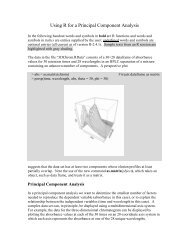 Using R for a Principal Component Analysis