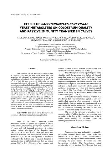 effect of saccharomyces cerevisiae yeast metabolites on colostrum ...