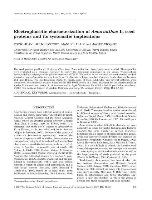 Electrophoretic characterization of Amaranthus L. seed proteins and ...