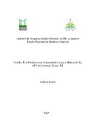 DissertaÃ§Ã£o Rodrigo Borges - Jardim BotÃ¢nico do Rio de Janeiro