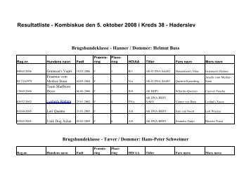 Resultatliste - Kombiskue den 5. oktober 2008 i Kreds 38 - Haderslev