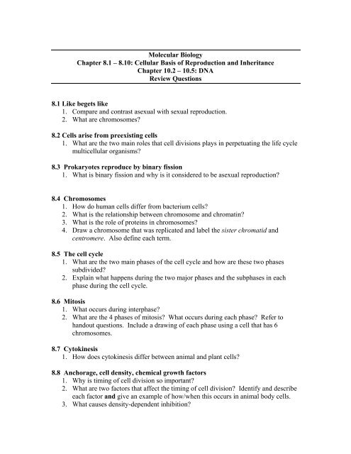 Featured image of post Cell Cycle And Mitosis Review Worksheet Some words may not be used at all