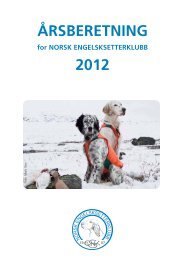 Årsberetning for 2012 - Nesk