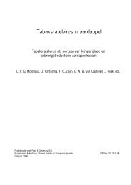 Rapport Tabaksratelvirus in aardappel (pdf - 76 ... - Kennisakker.nl