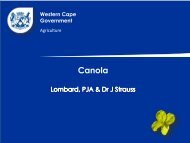 Canola Kultivars - P Lombard - 9 April PNS Canoladag - overbergagri