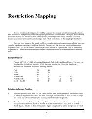 Restriction Mapping