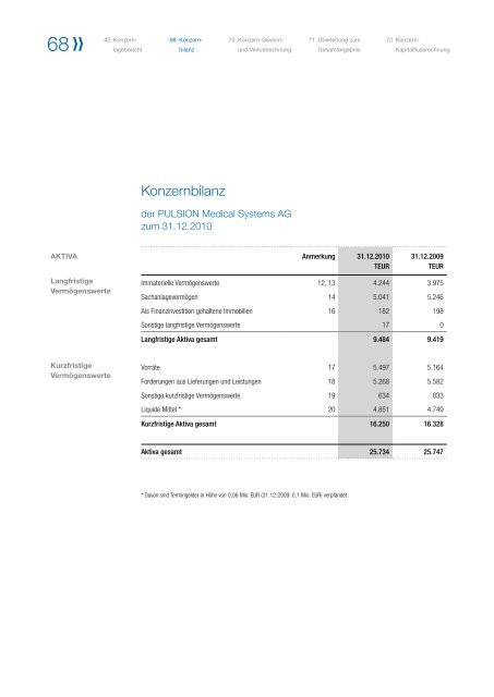 Geschäftsbericht 2010 - PULSION Medical Systems SE