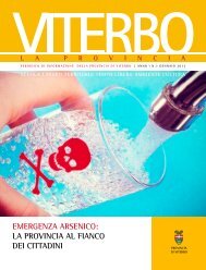 emergenza arSenico - Provincia di Viterbo