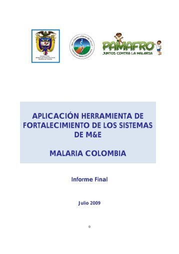 Informe Final - Organismo Andino de Salud