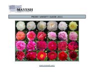 PEONY VARIETY GUIDE 2011