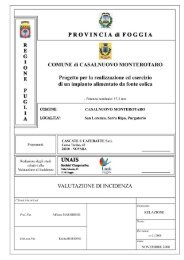 Studio Di Inc_AMB.pdf - Ambiente e Territorio della Capitanata