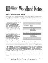 Invasive Exotic Species in Your Woodlot - Ontario woodlot.com