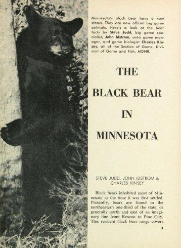 2378 Black Bear in Minnesota The - webapps8