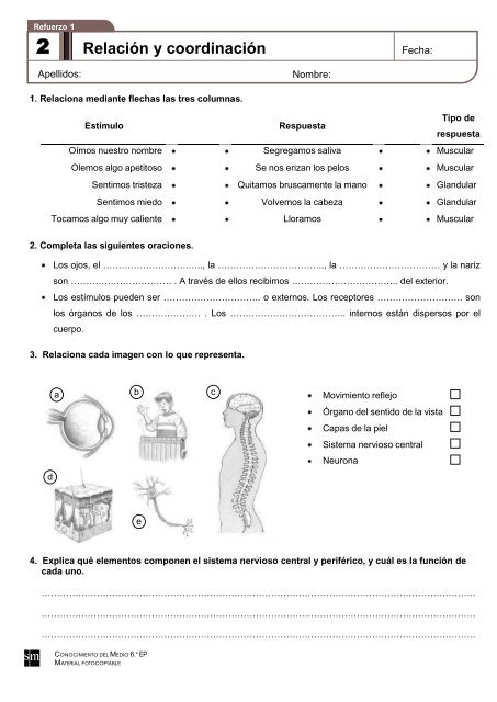 Refuerzo 1 - Colegio Diocesano San Ignacio Ponferrada