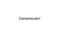 CementovÃ¡nÃ­ - ATeam