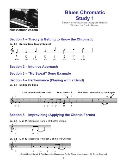 Blues harmonica lick point Think, blues harmonica lick talented phrase