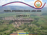 Descargar PERFIL EPIDEMIOLÃGICO AÃO 2009 capitulo ... - Viterbo