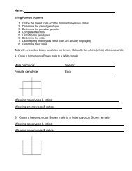 Punnett Square Worksheet - Moorpark College