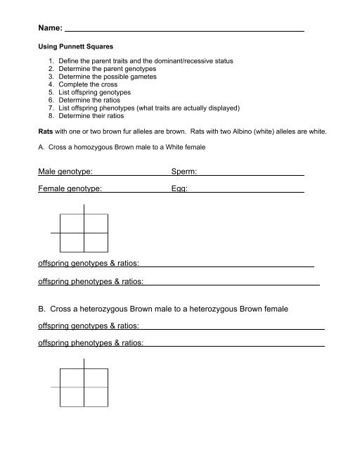 Punnett Square Worksheet - Moorpark College