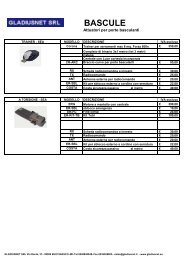 CATALISTINO Automazioni bascule - Gladiusnet S.r.l.