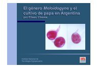 EL GÃNERO Meloidogyne Y EL CULTIVO DE PAPA EN LA ...