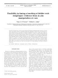 Flexibility in timing of molting of fiddler crab ... - Inter Research