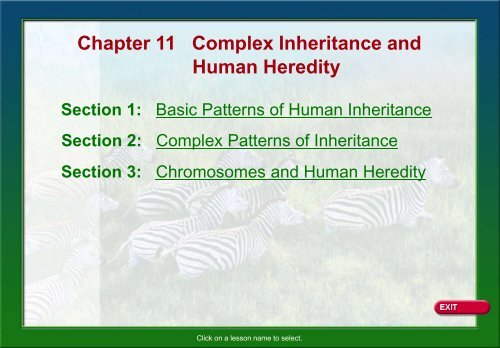 Chapter 11 Complex Inheritance.pdf