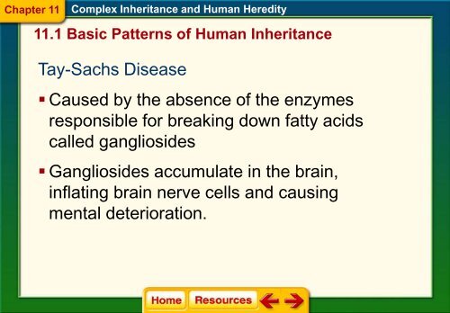 Chapter 11 Complex Inheritance.pdf