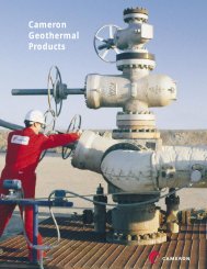 Cameron Geothermal Products - cedip