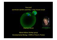 Hurp and acentriolar spindle assembly in the mouse oocyte ... - eshre
