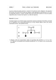 SÈRIE 1 PAAU. LOGSE. Curs 1999-2000 BIOLOGIA - Selecat