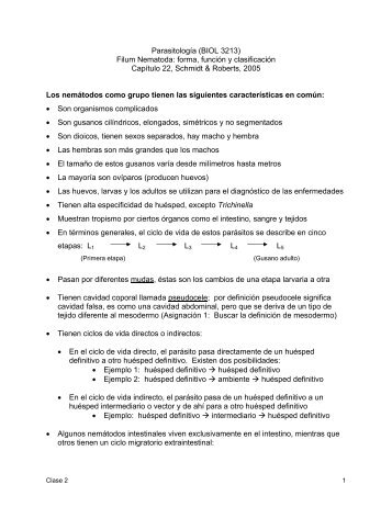 ParasitologÃ­a (BIOL 3213) Filum Nematoda: forma, funciÃ³n y ...