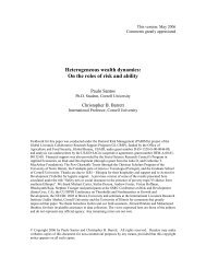 Heterogeneous Wealth Dynamics: On the Roles of Risk and Ability