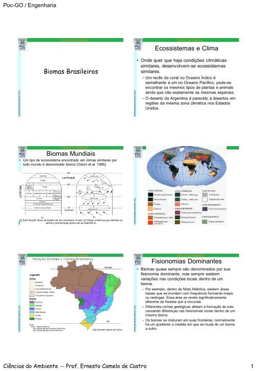 Biomas Brasileiros Ecossistemas e Clima Biomas Mundiais ...