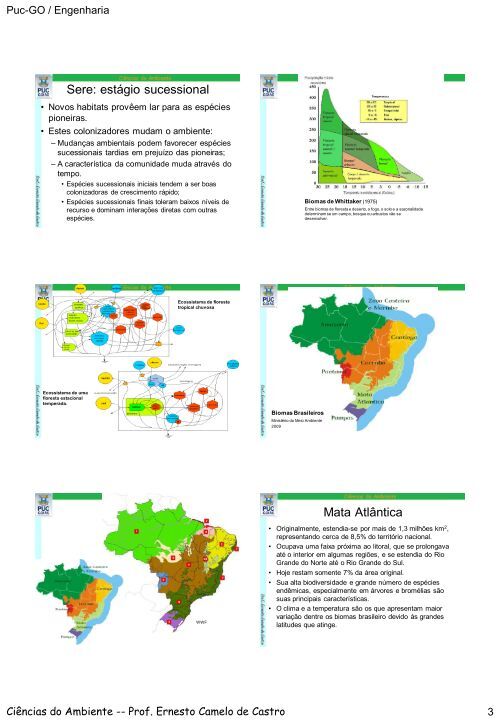Biomas Brasileiros Ecossistemas e Clima Biomas Mundiais ...