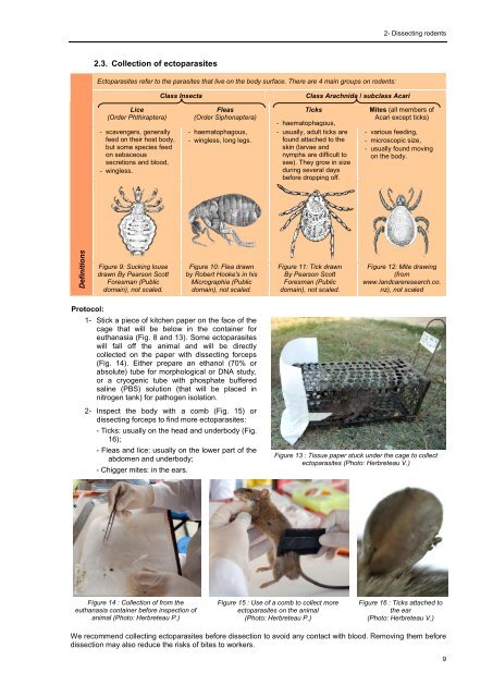 Protocols for field and laboratory rodent studies - HAL