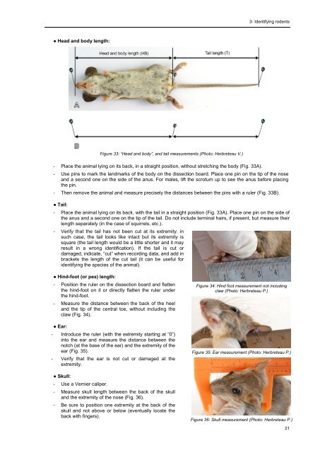 Protocols for field and laboratory rodent studies - HAL