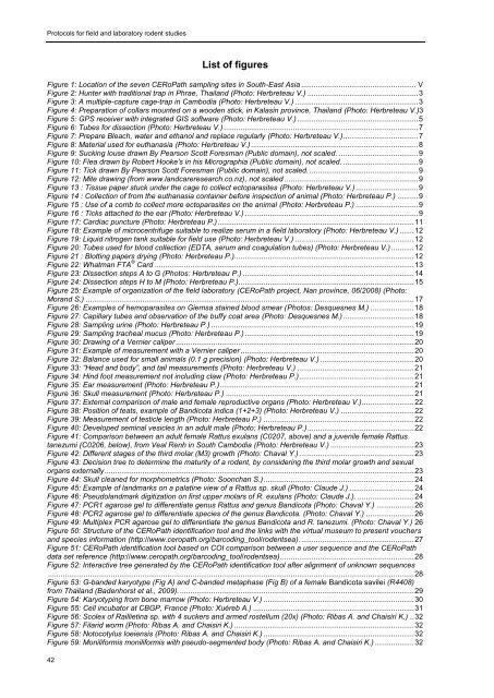 Protocols for field and laboratory rodent studies - HAL