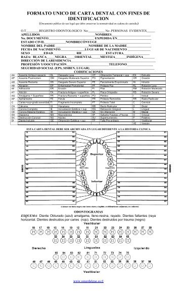 Formato Carta Dental para IdentificaciÃ³n.pdf - Criminalistica-odg