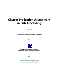 Cleaner Production Assessment in Fish Processing - DTIE